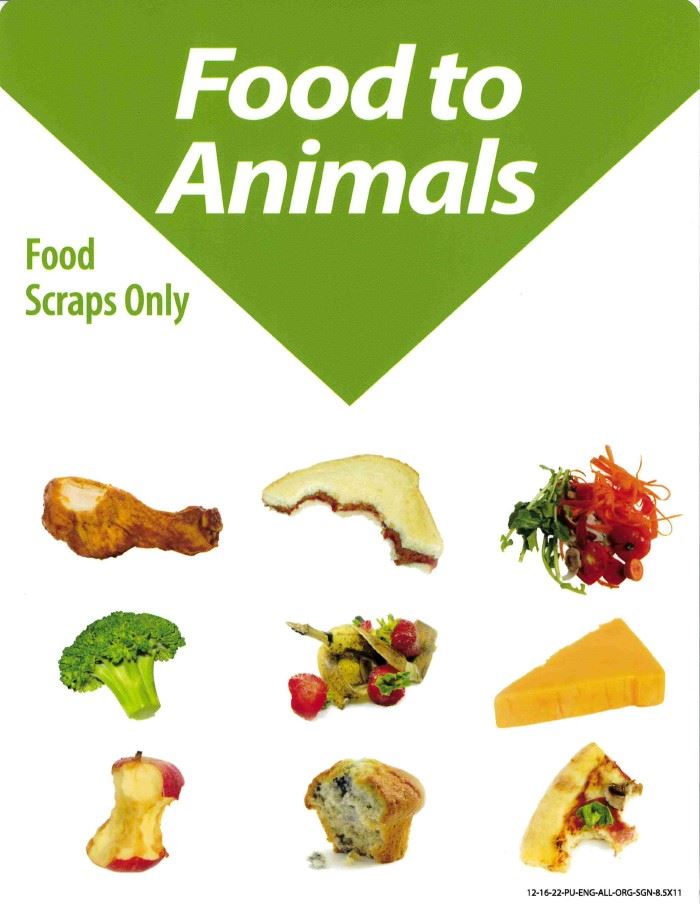 Food to animals